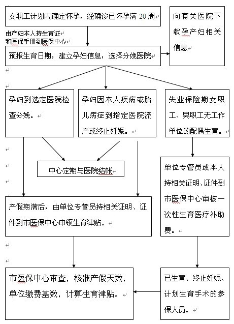 安徽生育保險有什么政策最新