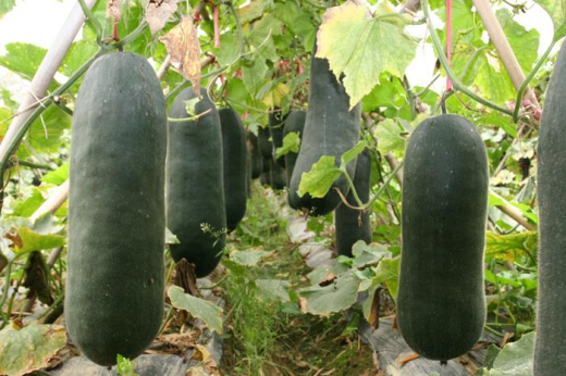 2015102809190879.jpg