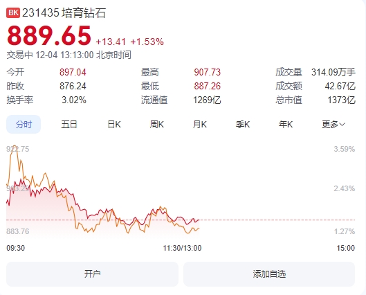 微信截图_20241204131329培育钻石.png
